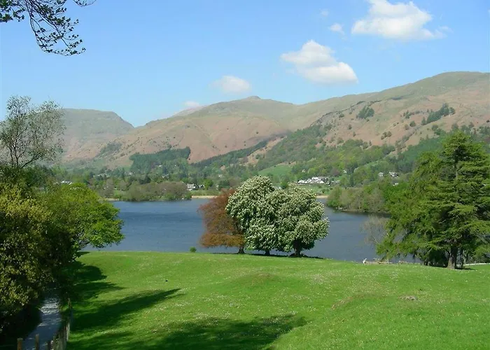 Fir Tree * 安布尔塞德